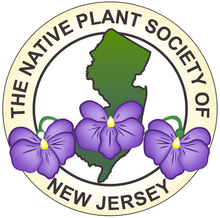 NPSNJ