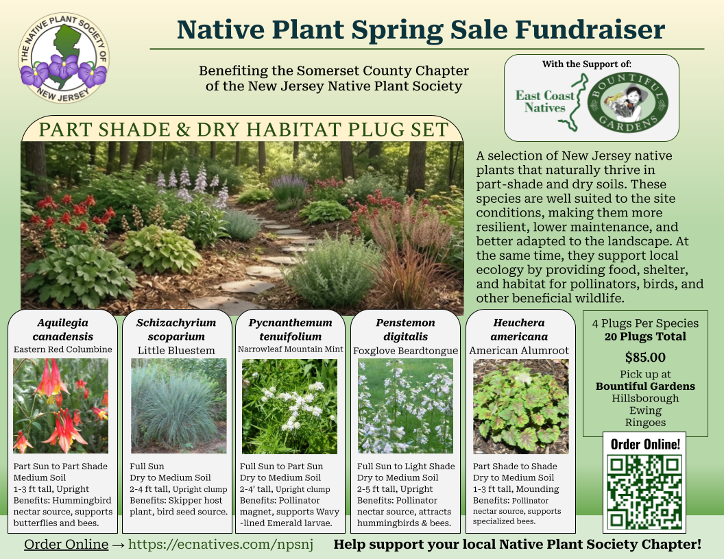 Part Shade and Dry Habitat Plug Set