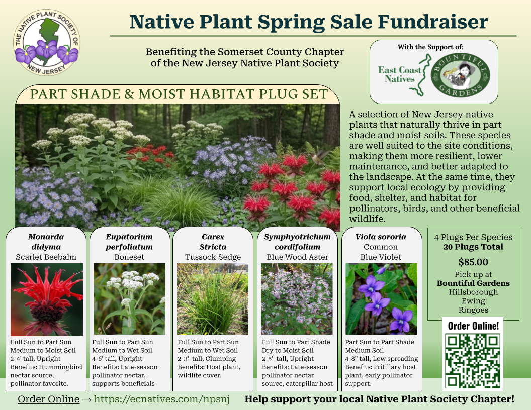 Part Shade and Moist Habitat Plug Set