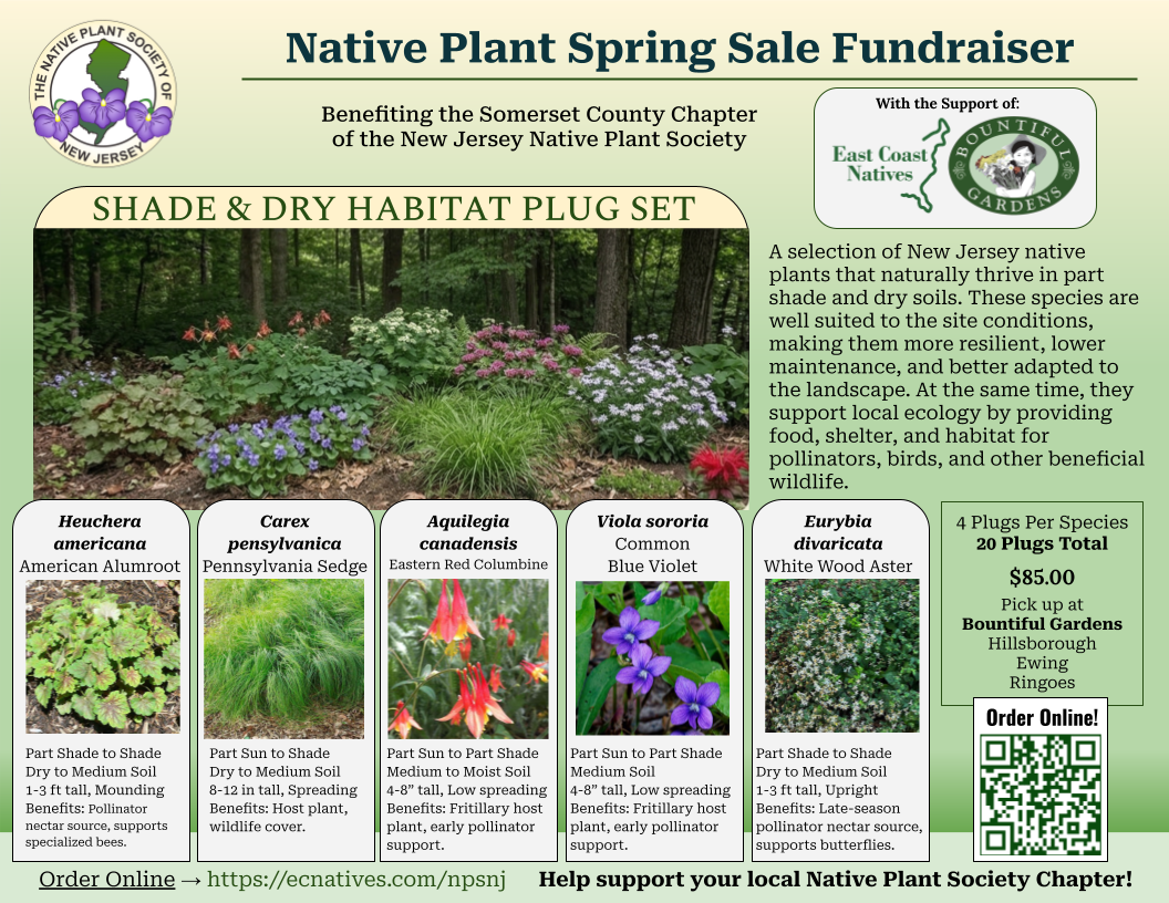 Shade and Dry Habitat Plug Set